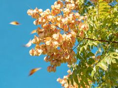 -汉长安城未央宫国家考古遗址公园