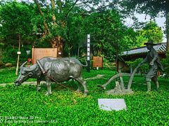 -广州神农草堂中医药博物馆