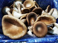 -锦绣大地生鲜食品厅