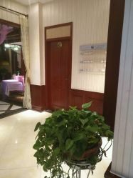 -YESIDO椰岛造型烫发染发