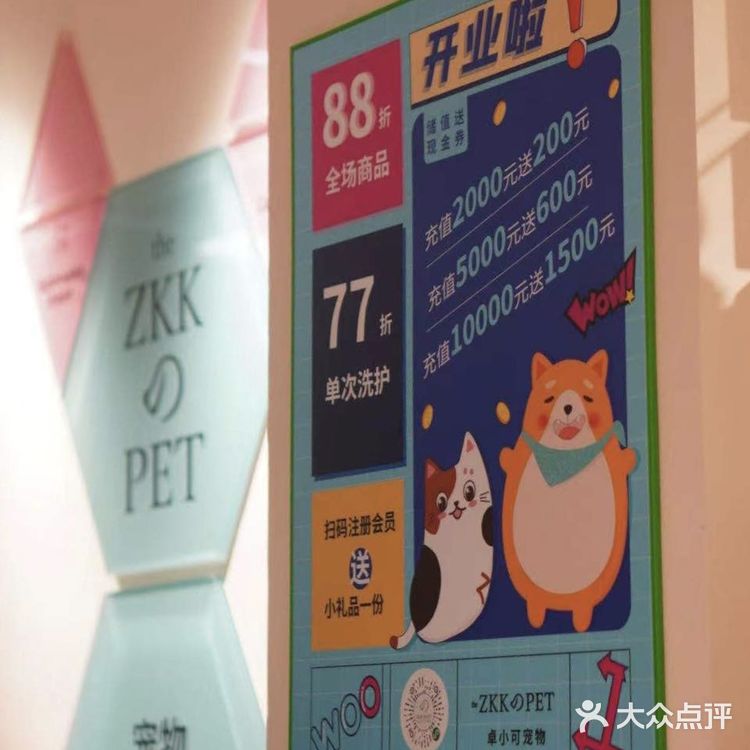 铲屎官快来报道❗❗