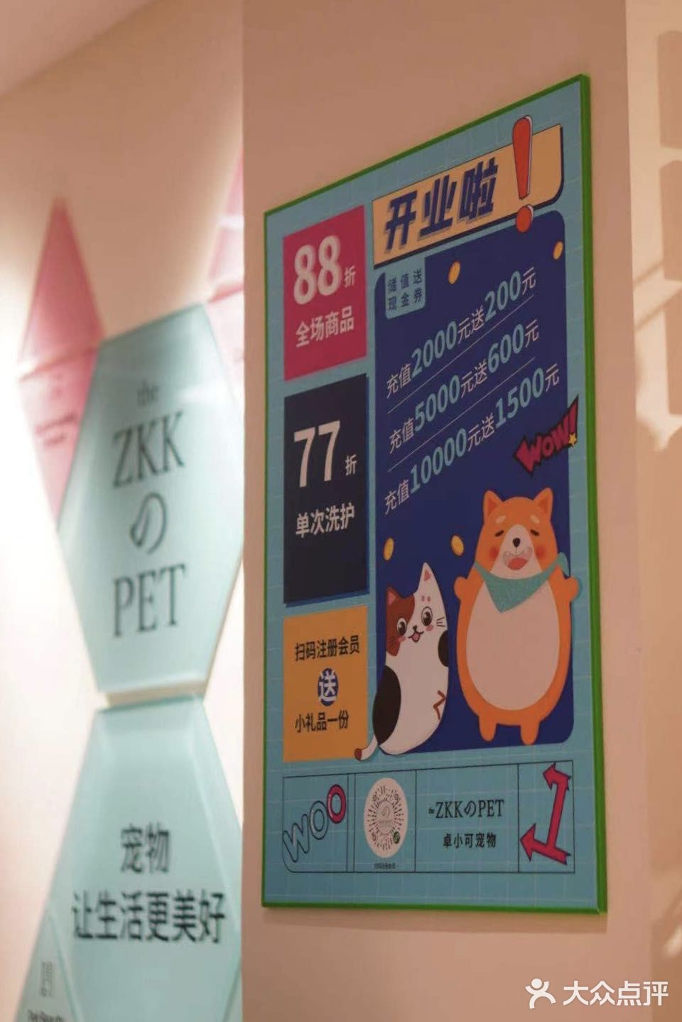 铲屎官快来报道❗❗