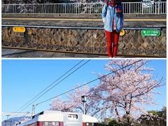 -岚山嵯峨野观光小火车