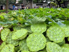 -上海鲁迅故居
