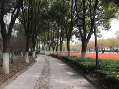 -武汉马哥孛罗酒店