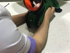 -瑞鹏瑞爱宠物医院·全科·猫科·血液透析中心(龙头寺店)