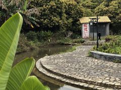 -风云岭森林公园