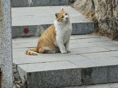 -北京凤凰岭