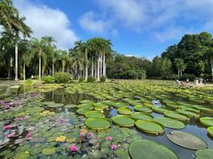 -中国科学院西双版纳热带植物园