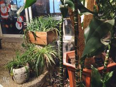 -有才叔的小馆(招商依云曲江店)