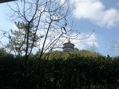 -浙江西子宾馆·牡丹厅