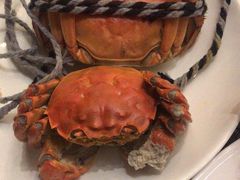 -上海齐鲁万怡大酒店·辣椒屋咖啡厅