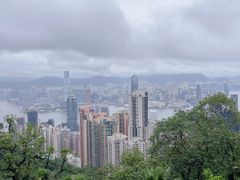 -太平山顶