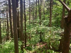 -罗田薄刀峰风景区