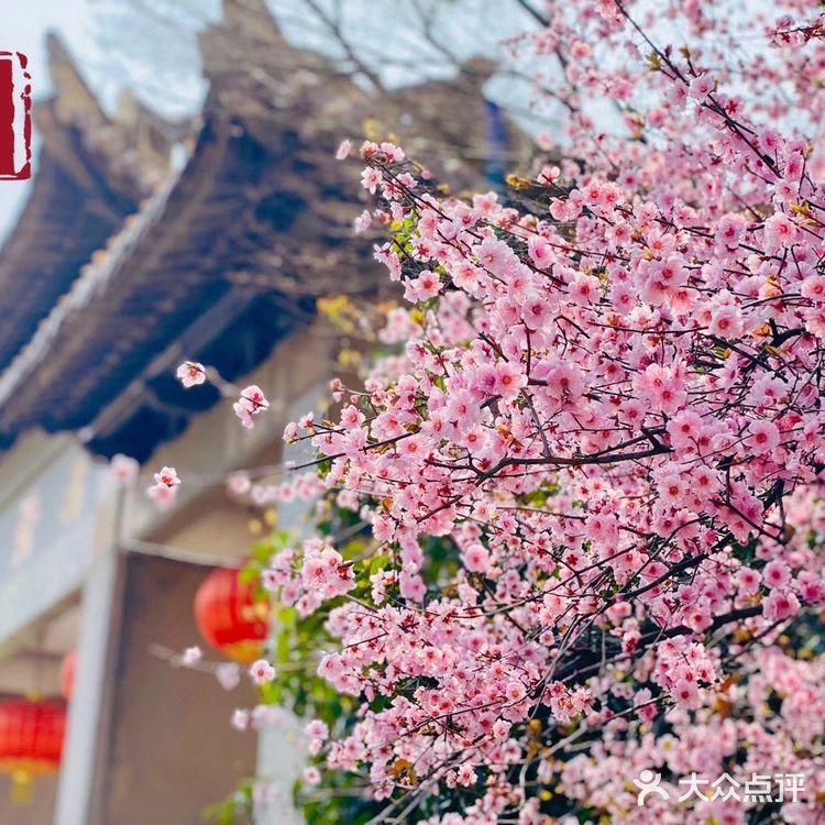 太湖佳绝处,最美在鼋头🌸