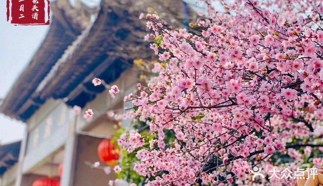 太湖佳绝处，最美在鼋头🌸