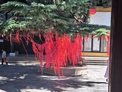 -迎江寺