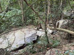 -七仙岭温泉国家森林公园