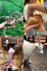 -Zoolung Zoolung动物主题公园(海信广场店)