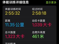 -铁山坪森林公园