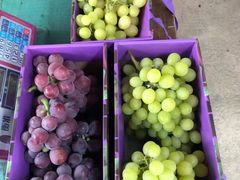 -麦园农庄·西江河鲜