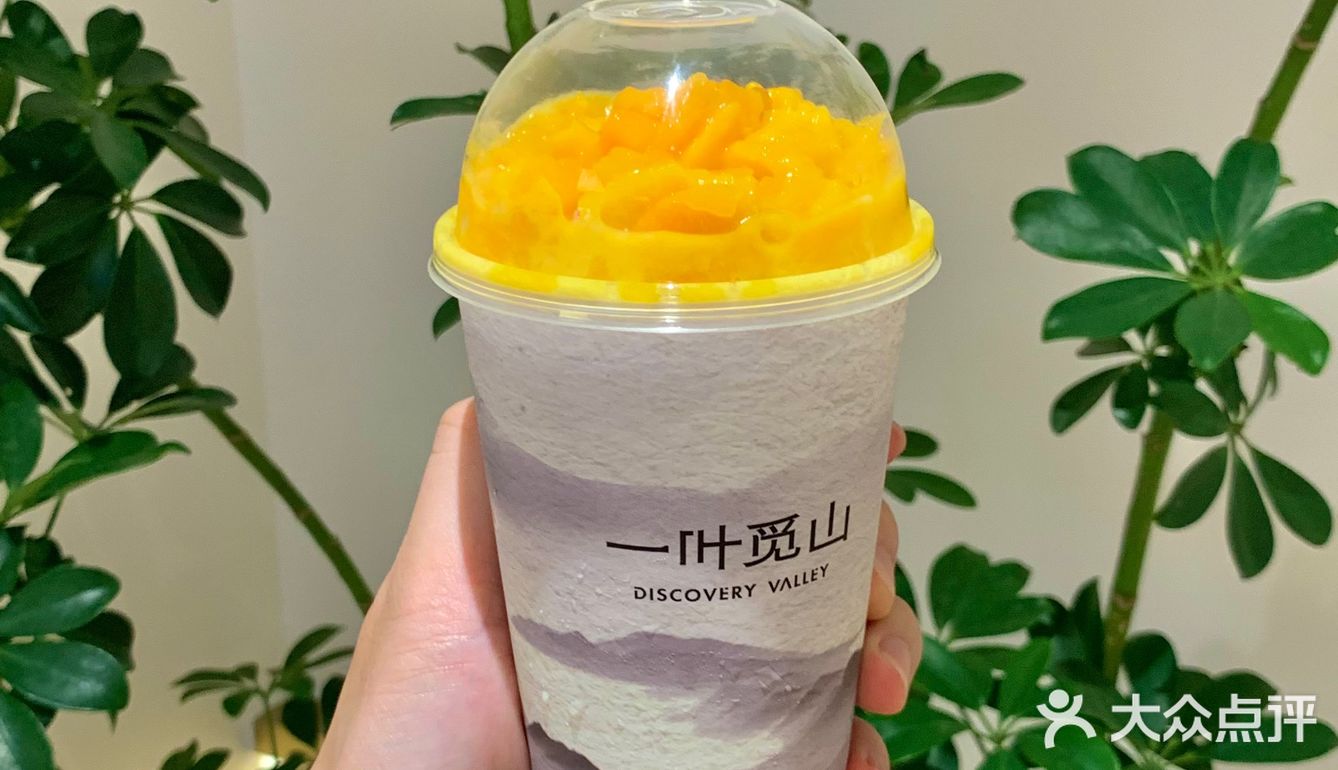 合肥之光又开新店啦！