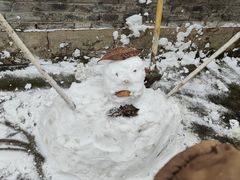 -阜阳站