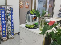 -启辰口腔(南坪店)
