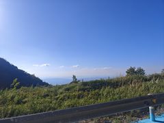 -武陵山森林公园