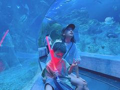 -芜湖新华联大白鲸海洋公园