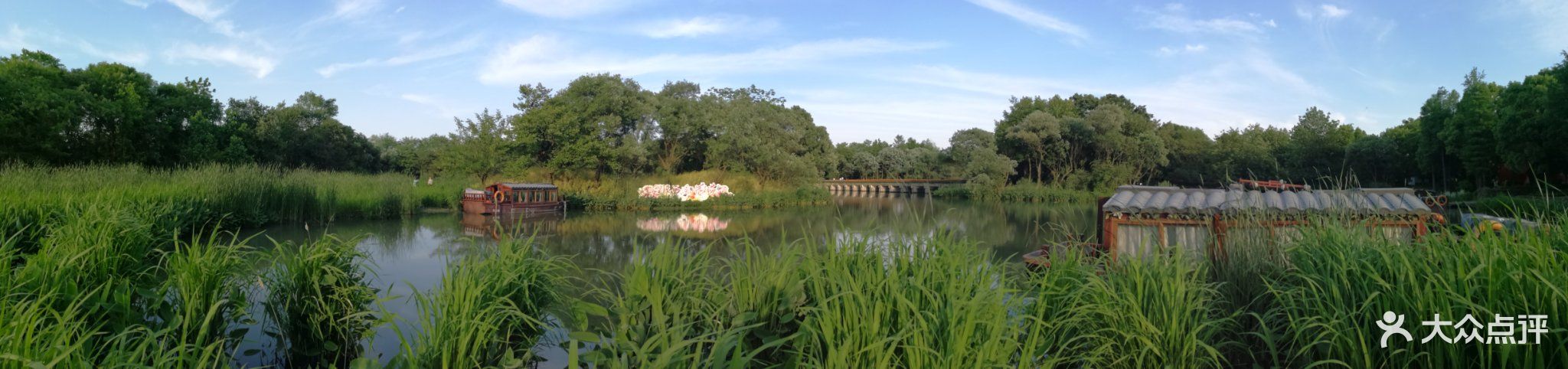 驻马店湿地植物园图片
