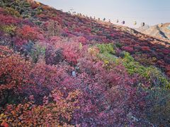 -周口店坡峰岭风景区