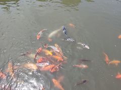 -檀园