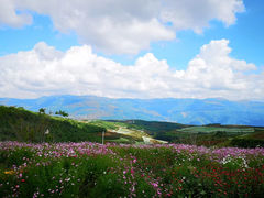 -红土地风景区