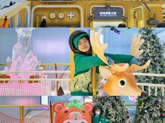 -深圳国际会展中心希尔顿酒店(前海华发冰雪世界店)