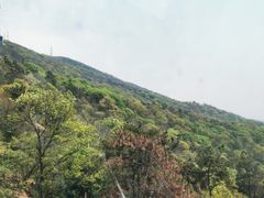 -紫金山山顶公园