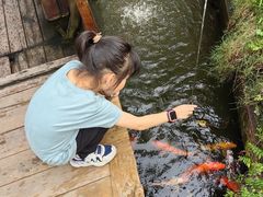 -花溪雨·森林餐厅(石基店)