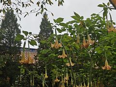 -涞滩古镇