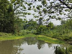 -桤木河湿地公园