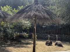 -北京野生动物园