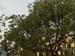 -比斯特上海购物村精品奥特莱斯