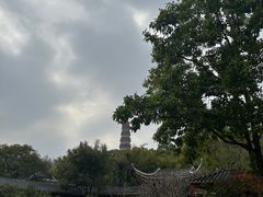-顺峰山公园