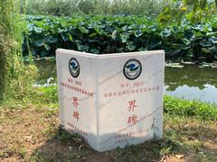 -池杉湖湿地公园