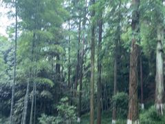 -莫干山风景区
