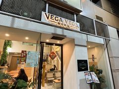 -VEGA VEGA 我行我素