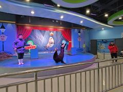 -芜湖新华联大白鲸海洋公园