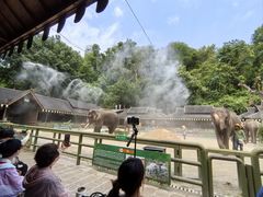 -野象谷景区