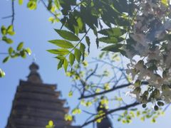 -北京石刻艺术博物馆(五塔寺)