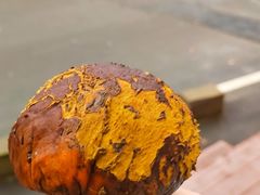 -山王坪喀斯特国家生态公园