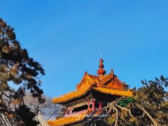 -北陵公园